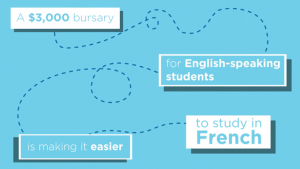 FSL Bursary ad
